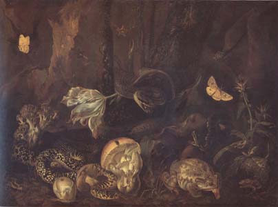 Still Life with Insects and Amphibians (mk14)